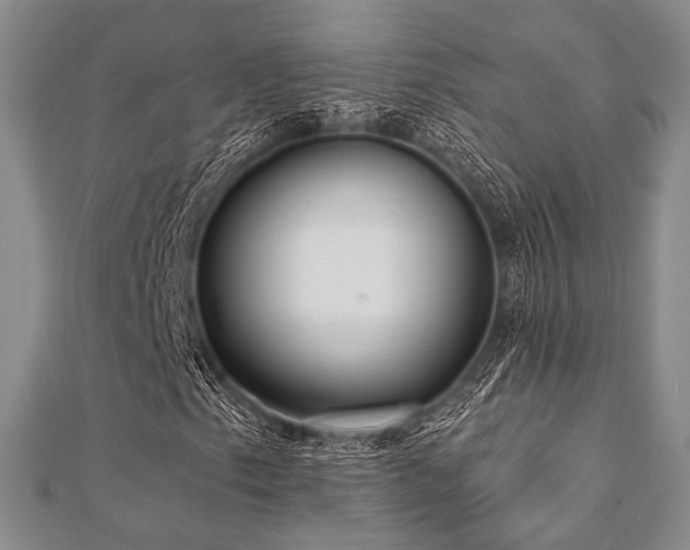 X0000112001153200908031223