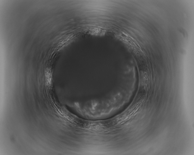 X0000112001154200908031223