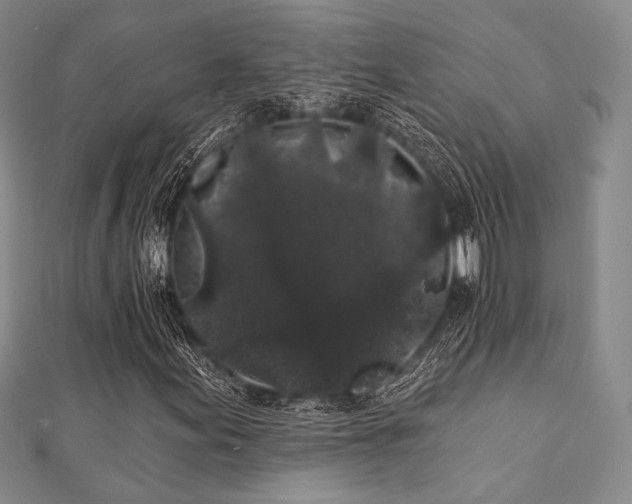 X0000112001155200908031223