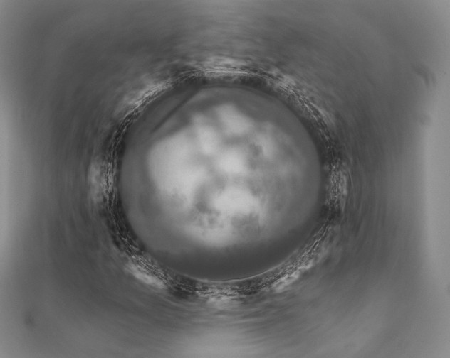 X0000112001157200908031223