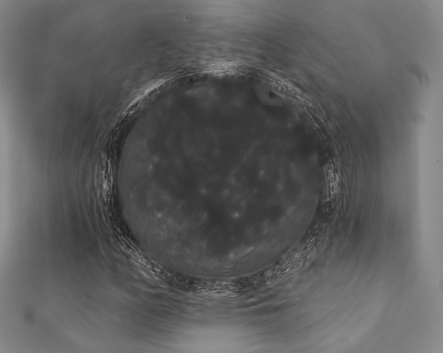 X0000112001158200908031223