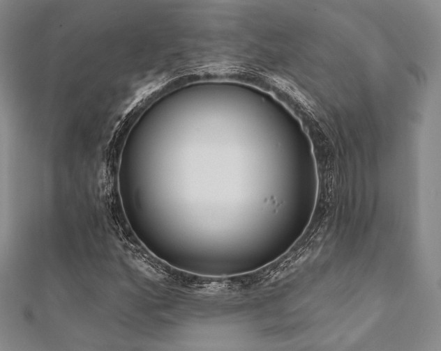 X0000112001160200908031223