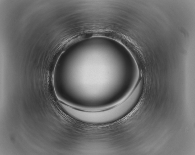 X0000112001161200908031223