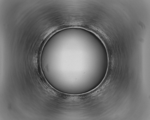 X0000112001162200908031223