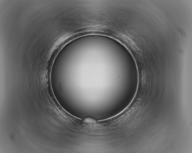 X0000112001164200908031223