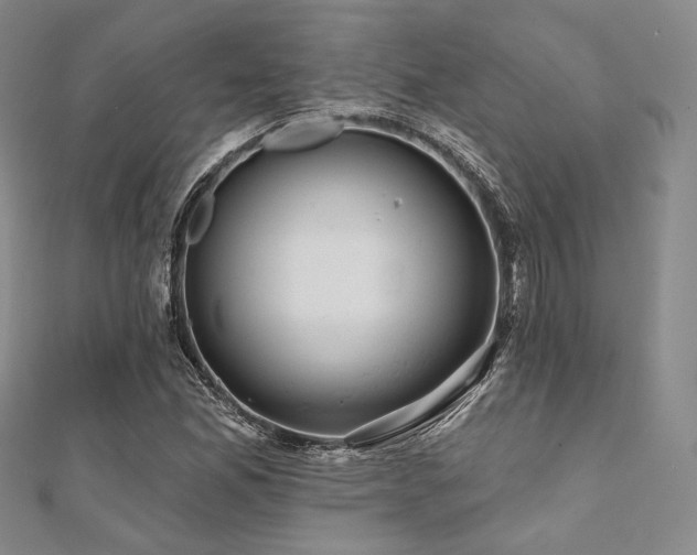 X0000112001165200908031223