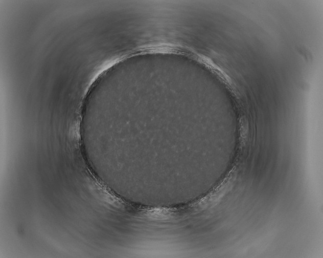 X0000112001166200908031223