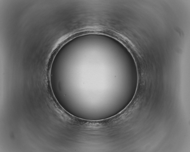 X0000112001168200908031223