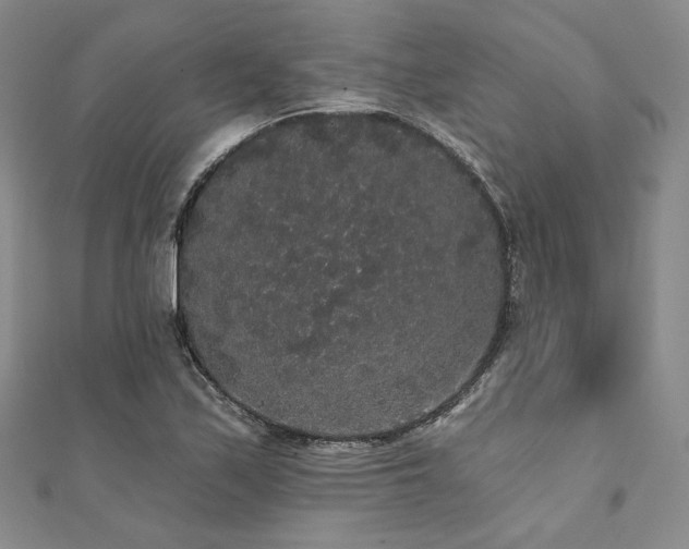 X0000112001171200908031223