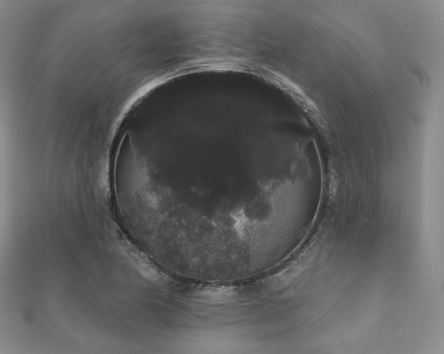 X0000112001174200908031222