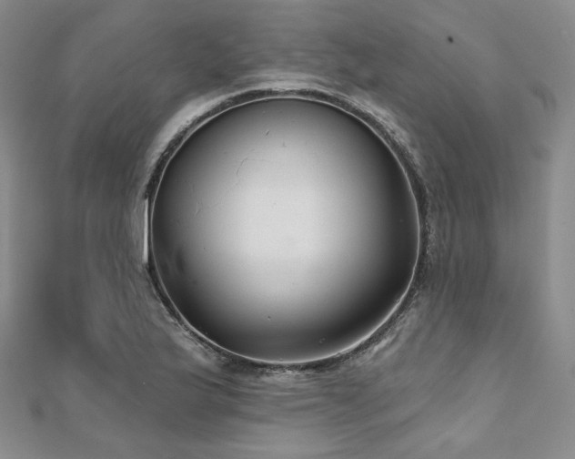 X0000112001175200908031222
