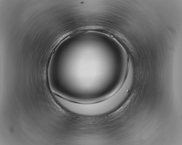 X0000112001177200908031222