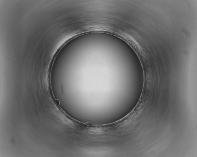 X0000112001182200908031222