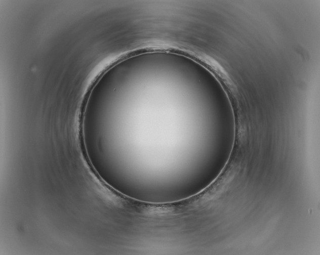 X0000112001183200908031222