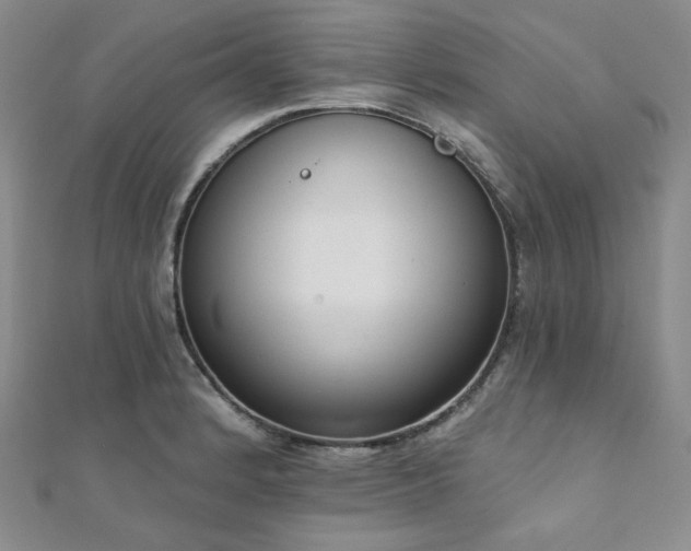 X0000112001184200908031222