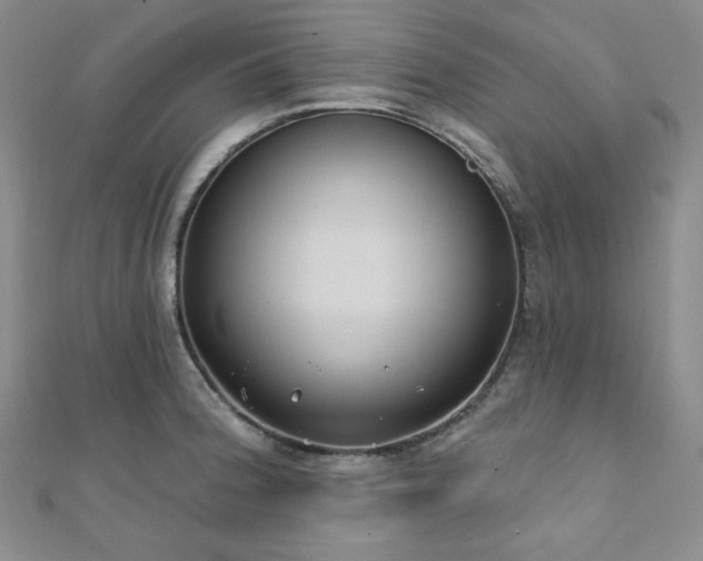 X0000112001188200908031222