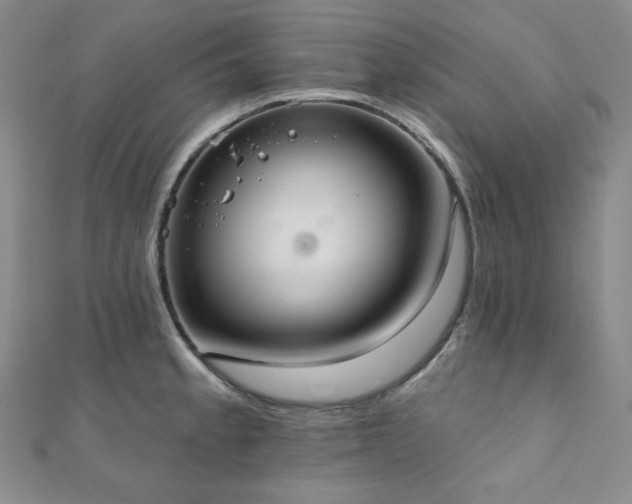 X0000112001189200908031222