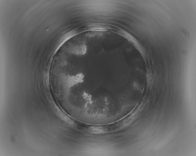X0000112001194200908031222