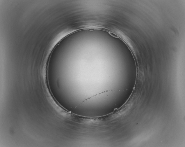 X0000112001195200908031222