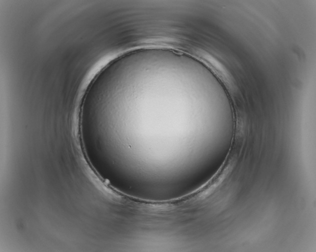 X0000112001196200908031222