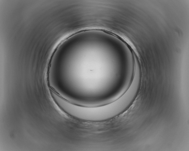 X0000112001197200908031222