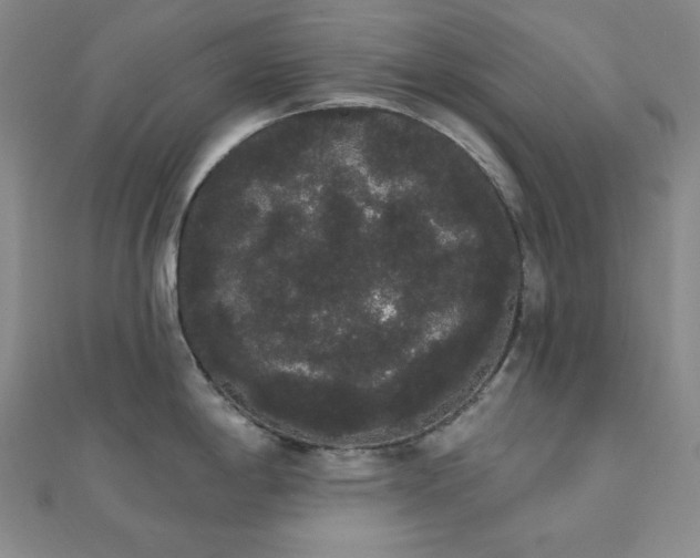 X0000112001198200908031222