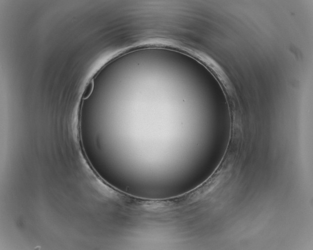 X0000112001199200908031222