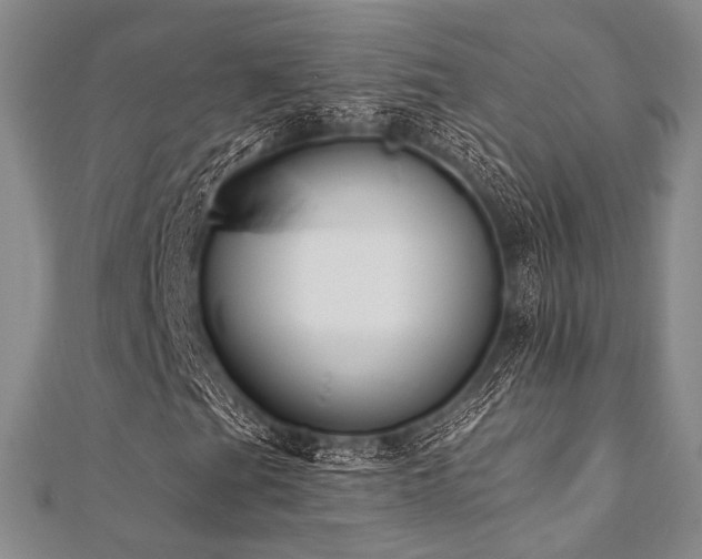 X0000112001201200908031221