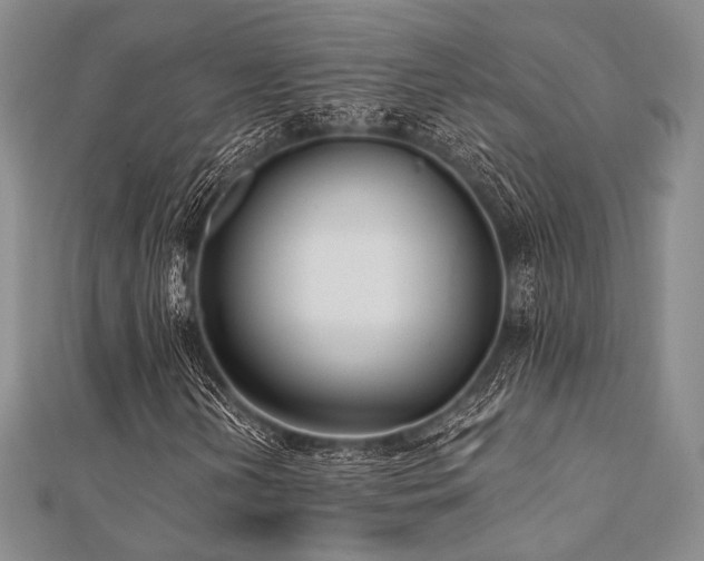 X0000112001202200908031221