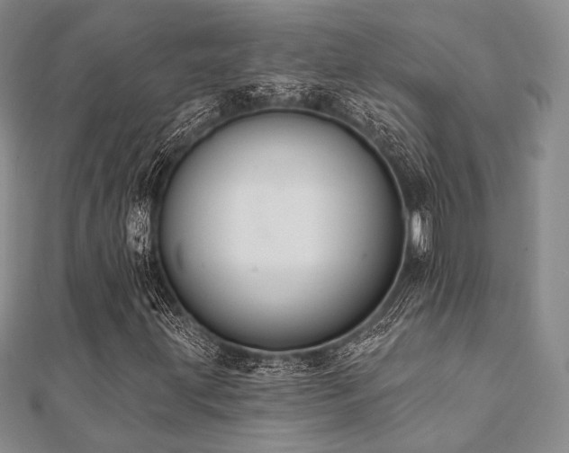 X0000112001203200908031221