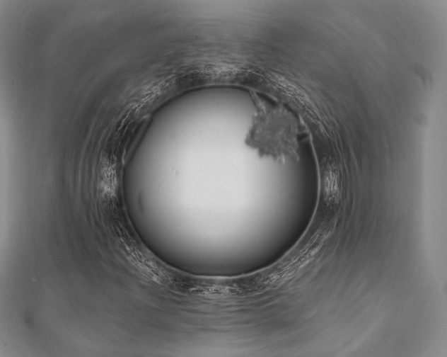X0000112001204200908031221