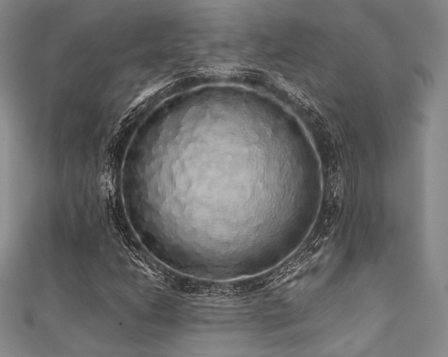 X0000112001206200908031221