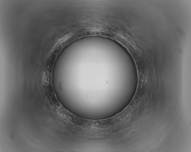 X0000112001207200908031221