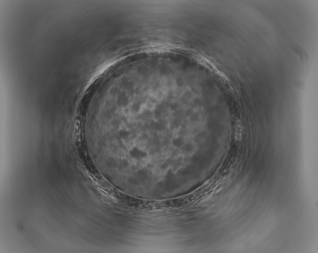 X0000112001208200908031221