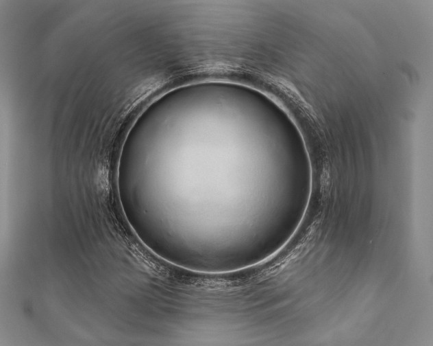 X0000112001209200908031221