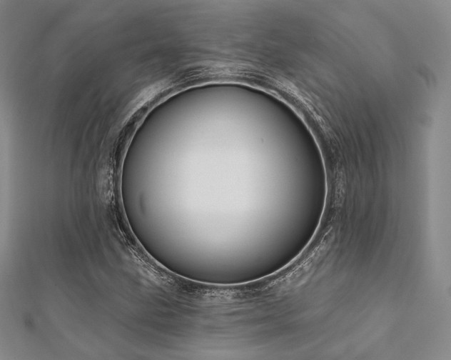 X0000112001211200908031221