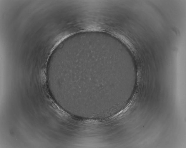 X0000112001212200908031221