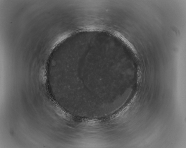 X0000112001213200908031221