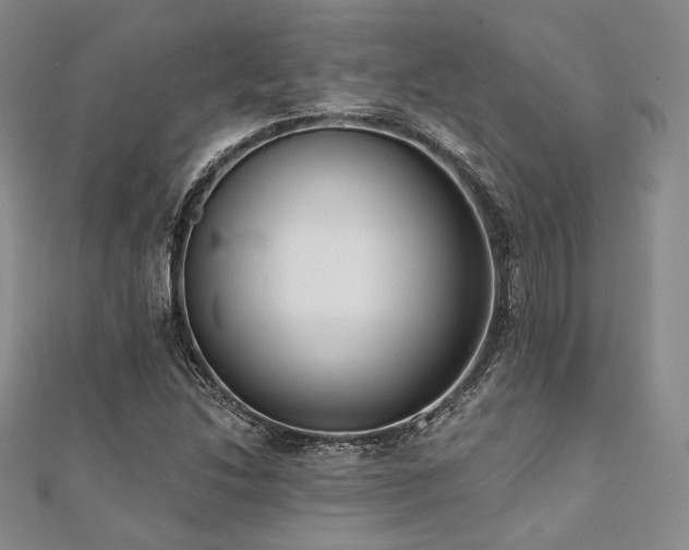 X0000112001214200908031222