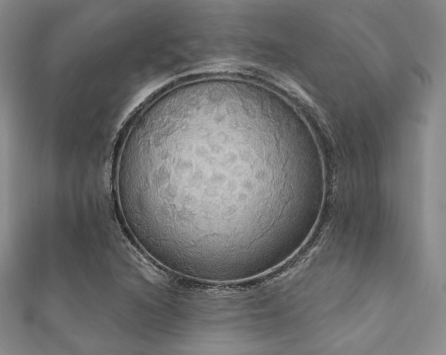 X0000112001216200908031222