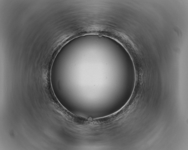 X0000112001217200908031222