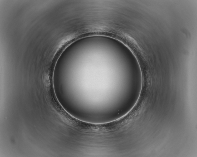 X0000112001218200908031222