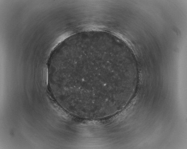 X0000112001219200908031222