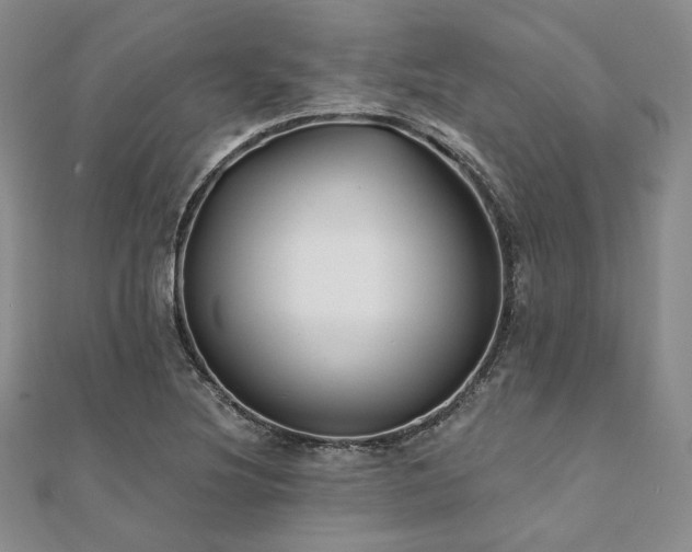 X0000112001220200908031222