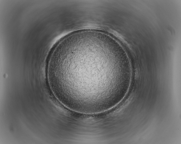 X0000112001222200908031222