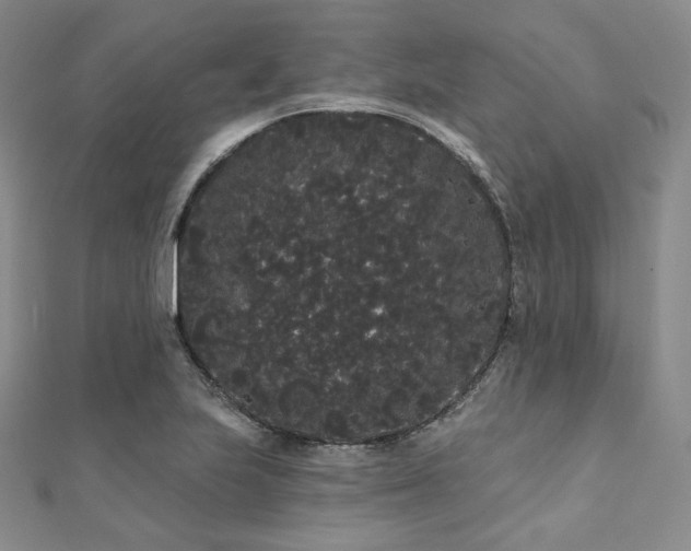 X0000112001223200908031222