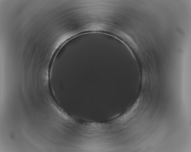 X0000112001226200908031222