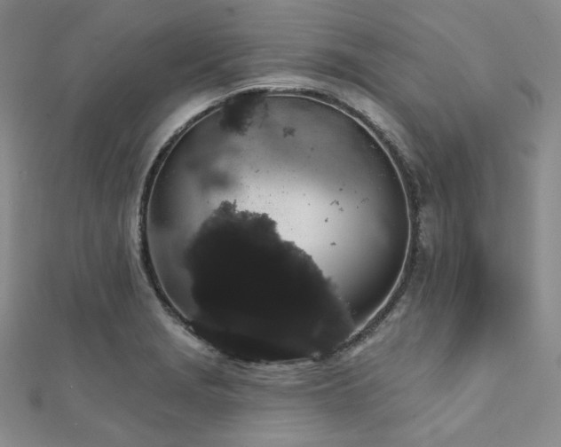 X0000112001229200908031222