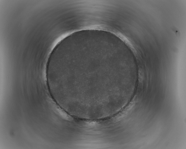 X0000112001230200908031222