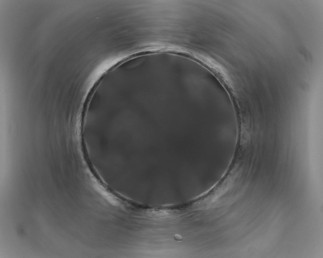 X0000112001231200908031222
